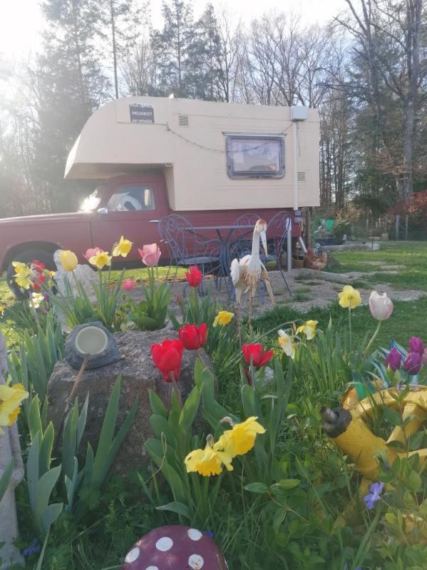 Le Pick Up 403 Vintage Hotell Oradour-sur-Glane Exteriör bild